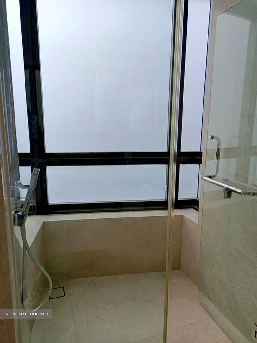Trilight (D11), Condominium #503241101